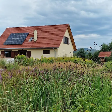 Dalski Villa